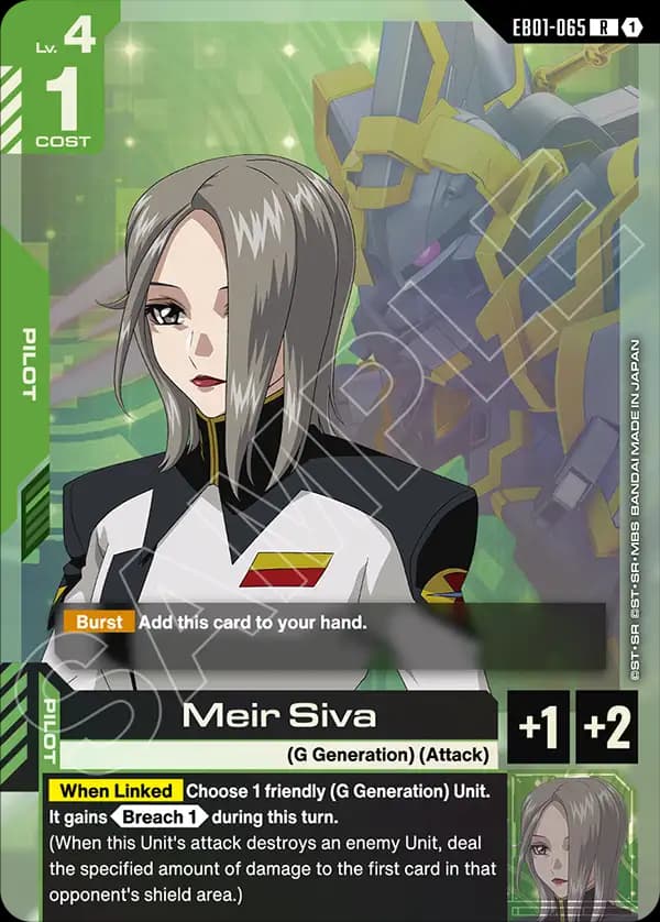 Meir Siva