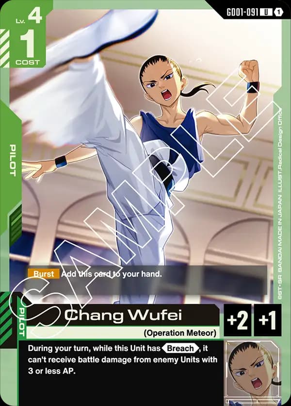 Chang Wufei