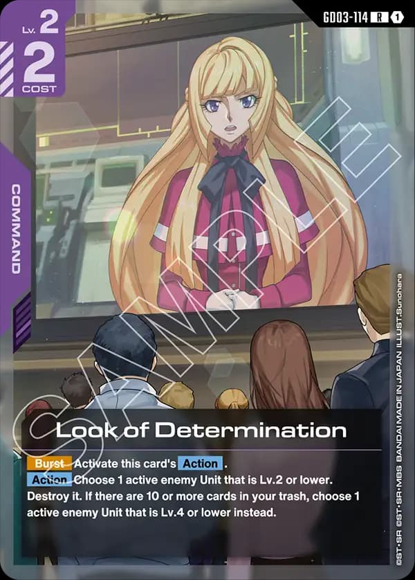 Look of Determination