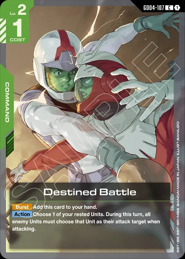 Destined Battle