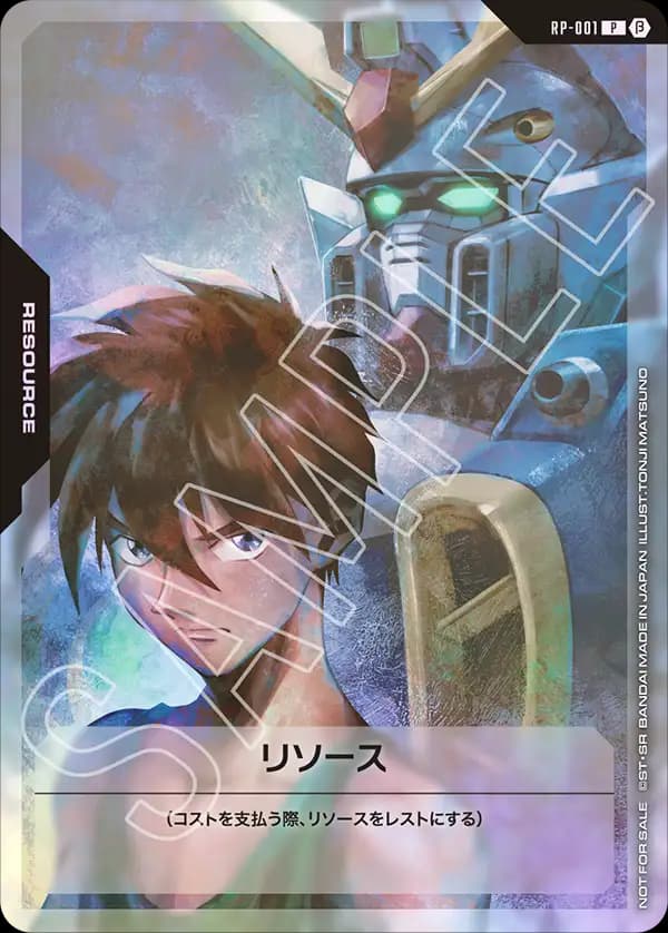 RP-001 リソース