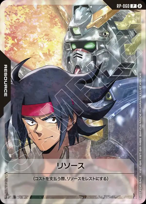 RP-060 リソース